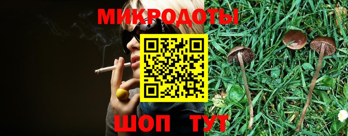 Псилоцибиновые грибы прущие грибы Буйнакск